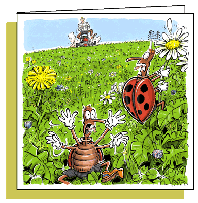 Bugs, Doppelkarte mit Couvert / Handsigniert